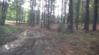 Romania 2013 - From Moldoviţa To Gârnic, 17.8.2013