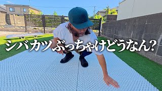 Shibakatsu] I did some freestyle tricks on the artificial turf I