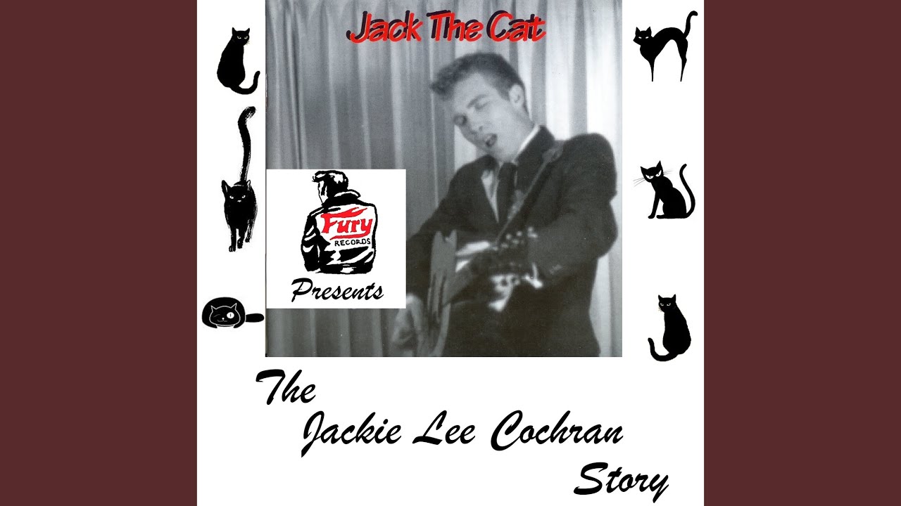 Jack the Cat