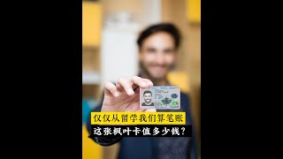 加拿大的枫叶卡值多少钱？