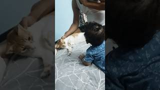 arpu ka momo 🥰🤩😘😍❣️ #cute #cutepic #dailyshorts #love #funnyshorts