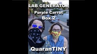 Purple Carrot Review #2 by Lab Generator 26 views 3 years ago 10 minutes, 52 seconds