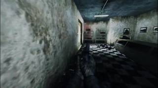 Call of Duty 4 Remastered Promod Please..?
