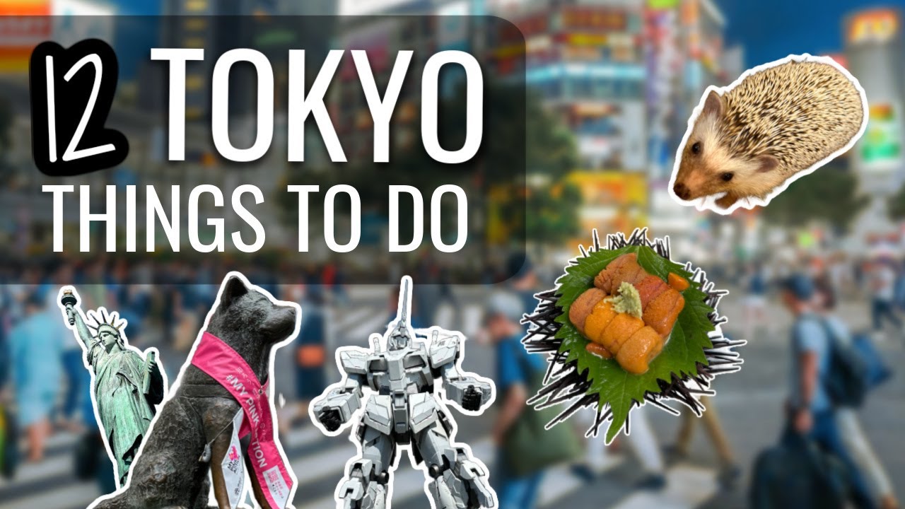 12 fun things to do in Tokyo! | Japan - YouTube