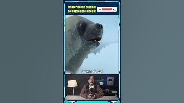 Hải cẩu bị cá voi sát thủ truy đuổi #shorts #khampha #kienthuc #khoahoc #diemdungcuoi