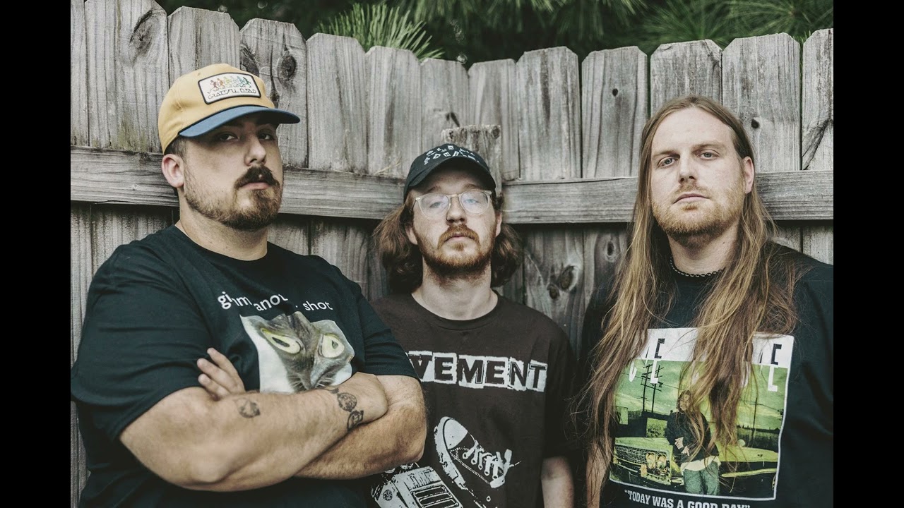 Bae - The Front Bottoms Cover