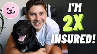 Pet Insurance: Answers To All Your Top Questions