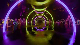 [4K] 1 Hour VJ Loop - Fantastic Futuristic Neon Tunnel by LOOPY LAD 1,239 views 5 months ago 1 hour