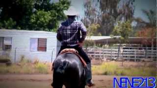 Watch Arley Perez Caballo De Acero video