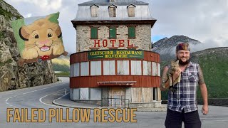 Nala's Failed Pillow Rescue
