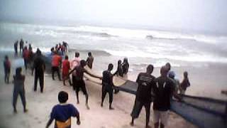 Fish capturing