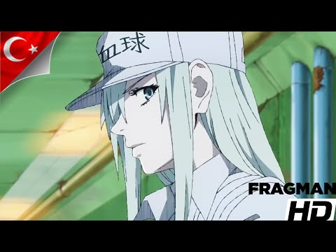 Hataraku Saibou Black Fragman Türkçe altyazılı