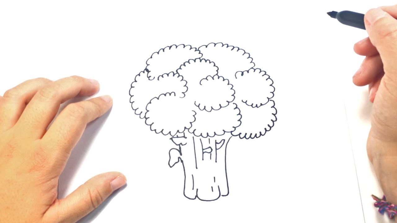 How to draw a Broccoli Step by Step | Broccoli Drawing ... How to draw a Broccoli Step by Step | Broccoli Drawing ...