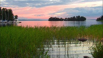 Dag Wirén - Serenade for Strings