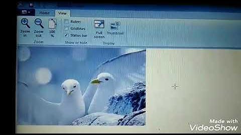 Class 3rd | Chapter 5: Working With MS-PAINT (Part 4)