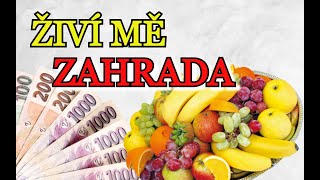 Živí Mě Zahrada Aneb Ovocné Keře A Stromy, Jak Jíst Na Zahradě Od Jara Do Zimy