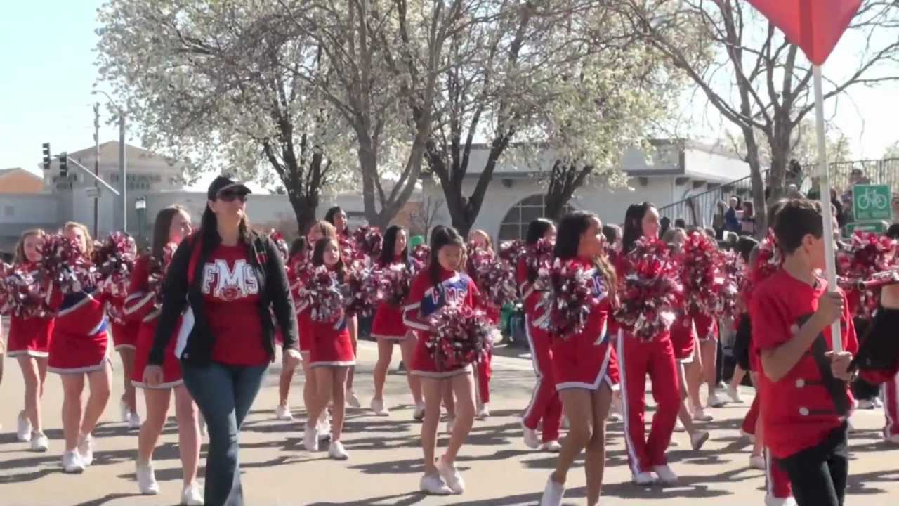St. Patrick's Day Parade 2013 - Dublin California - Marching Bands and Bagpipes