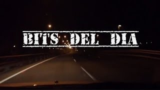 Bits Del Día Familia Y Hogar Gatuno