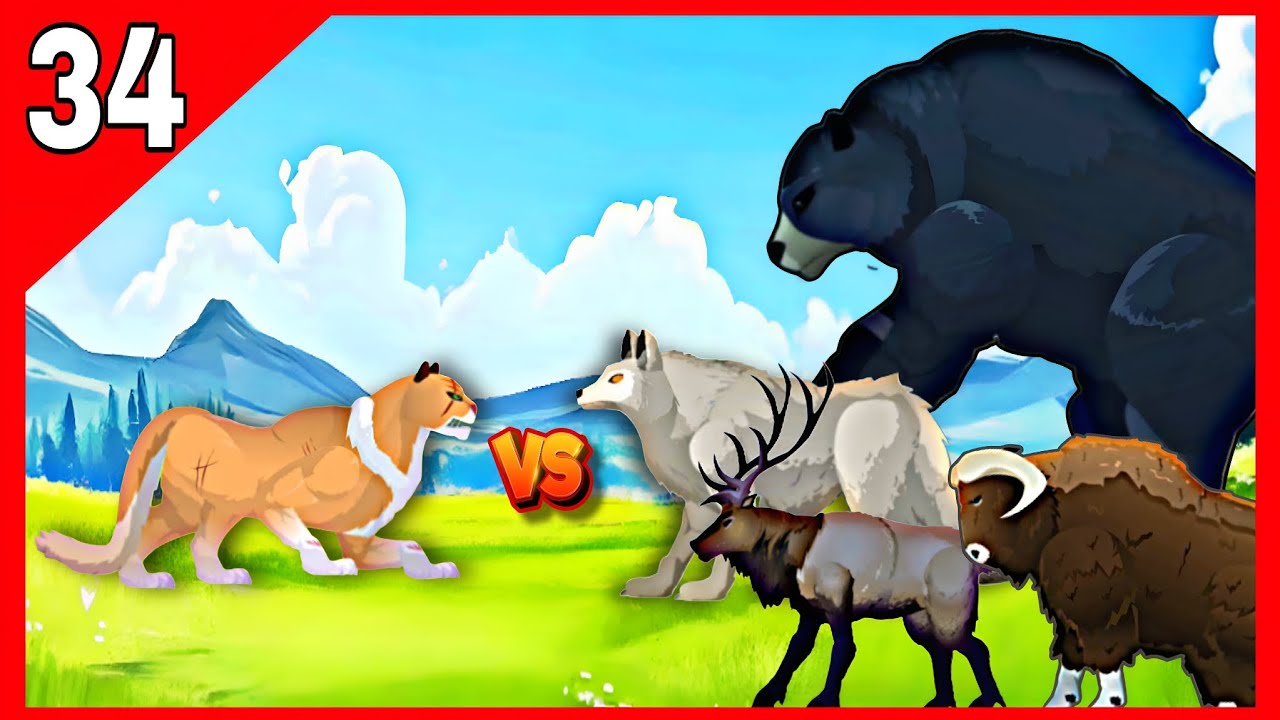 Gracious Cougar vs Alpha Arctic Wolf, Black Bear, Elk & Musk Ox | Ultimate Test!