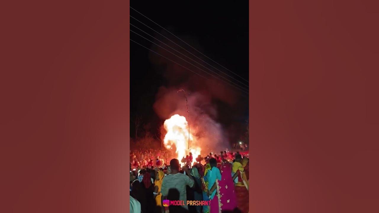 holi video2025