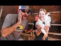 You Are NOT Going To Believe What She's Got!! (NEW Show Quality Chicken Breeds On The Farm)