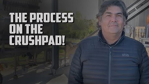 Grapes coming in at Napa Valley