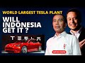Indonesia's $30 BILLION Master Plan to Bring World's Largest TESLA Plant