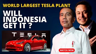 Indonesias 30 Billion Master Plan To Bring Worlds Largest Tesla Plant