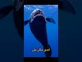 اخطر اماكن مجهولة ومخفية في العالم #earth #dangerous #viral#fyp