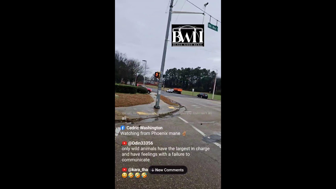 THP High-Speed Crash Out on Shelby Dr & Boeingshire in Memphis