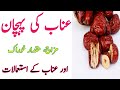 Unaab Ke Fayde Health Benefit Of Jujube Unaab Ke Fawaid Unaab Ke Fayde Health Benefit Of Jujube Unaab Ke Fawaid