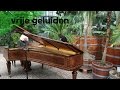 Ronald Brautigam - Beethoven/ Pianosonate nr. 26 'Les Adieux' (Live @Hortus Botanicus Amsterdam)