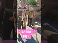 TULIP Flowers Tulip Flower Trending Fypage Shortvideo Sanfrancisco 