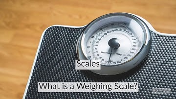 What is the Difference Between a Balance and a Scale?