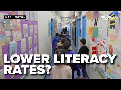 Do blue states have lower literacy levels than red states?