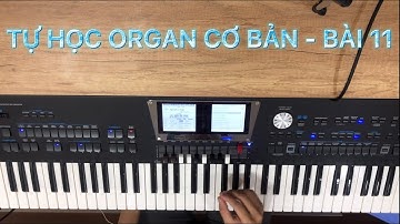 TỰ HỌC ORGAN CƠ BẢN BÀI 11 -  A LOVER