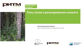 Роль лесов в регулировании климата. Н.В. Лукина