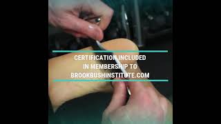 Integrated Manual Therapist (IMT) Certification now offered at the Brookbush Institute! screenshot 3