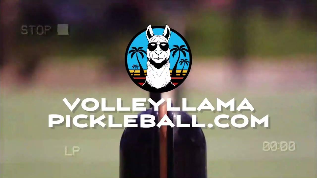 HOW MANY POINTS IN PICKLEBALL PICKLEBALL QUESTION 7 VOLLEY LLAMA