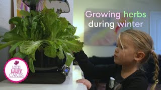 Fun things to do with kids: Grow your own herbs with an Aero Garden!