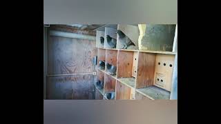 Unsere Schlaganlage