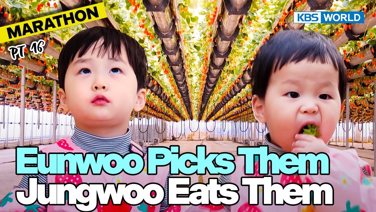 [1HR] 🥰HoWoo😍 Marathon😂 Pt.16🤭 [The Return of Superman] | KBS WORLD TV