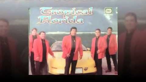 TROPICAL FLORIDA un hombre respetable