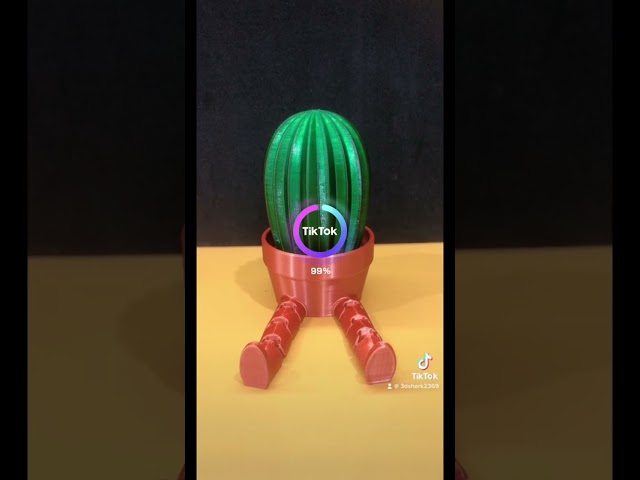 Amazing ! Cactus Pal wt Tiktok AI class=