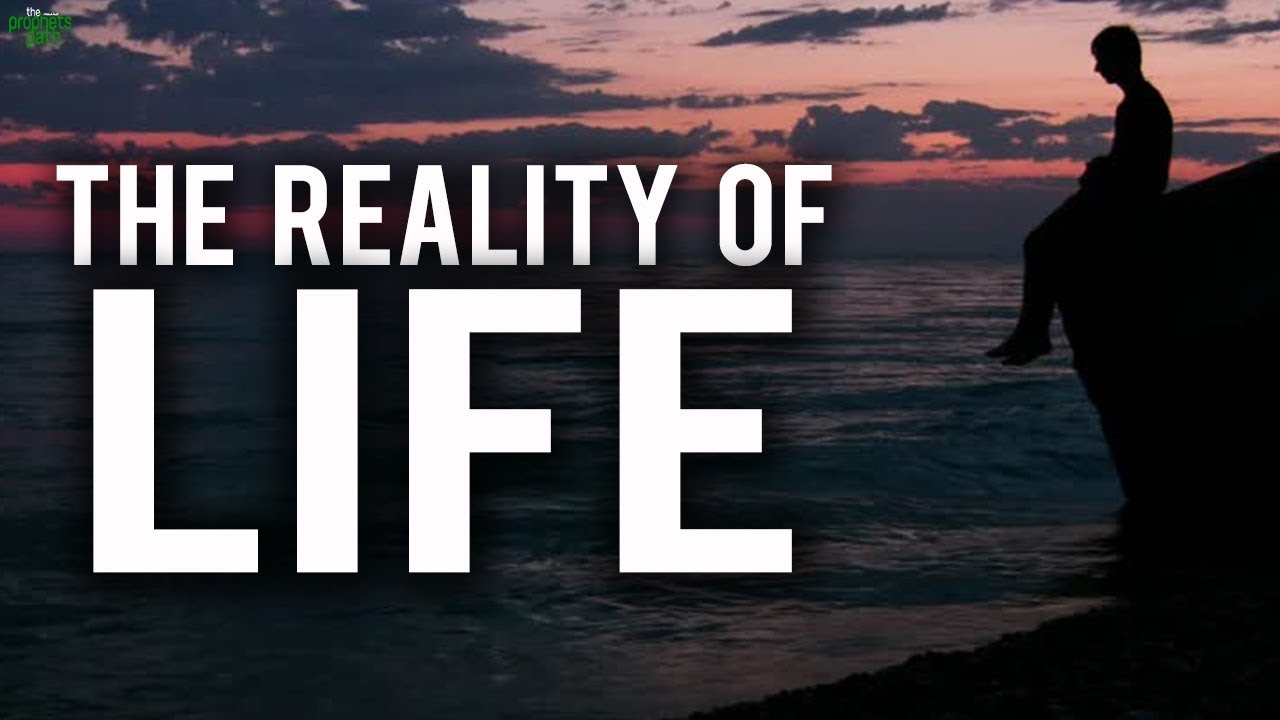 essay about reality of life