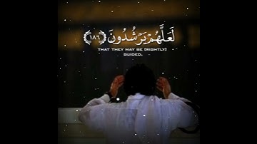 حالات واتس اب تلاوة خاشعة🎧 القارئ سلمان العتيبي💛