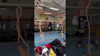2023073001 toellgym.com
