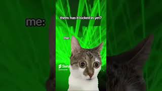 Cat Rave Trip #Short #Dj #Memes #Shortsvideo #Shorts #Housemusic #Techhouse #Viral #Viralvideo  #Fyp