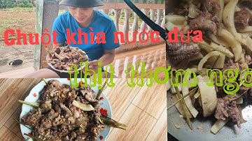CHUỘT KHÌA NƯỚC DỪA , ĐẶC SẢN MIỀN TÂY Sông nước nam bộ