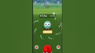 Rowlet Community Day #shorts #youtubeshorts #shortsfeed #pokemongo